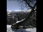 1080098CW-Snow-on-las-Alpuj